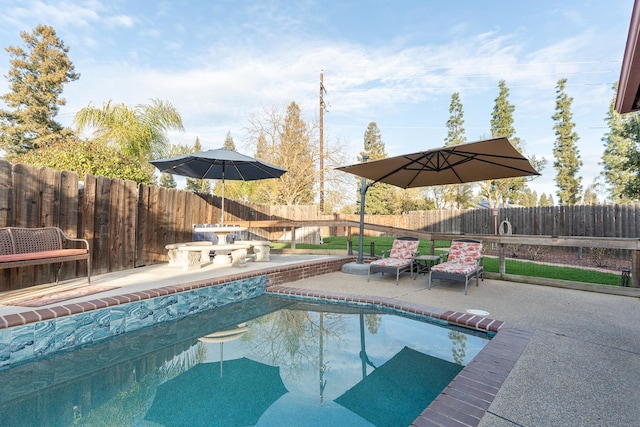 view of pool featuring a fenced in pool, a fenced backyard, and a patio area