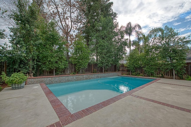 view of pool featuring a patio area, a fenced in pool, and a fenced backyard