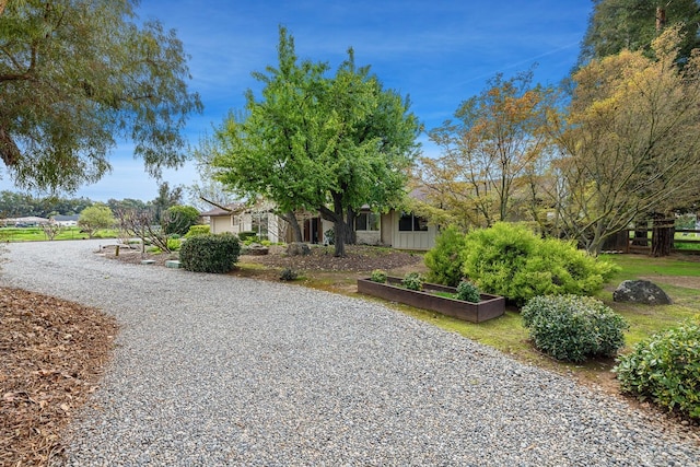 exterior space with gravel driveway and a garden