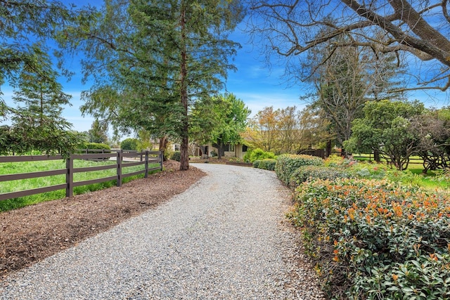 view of street featuring driveway