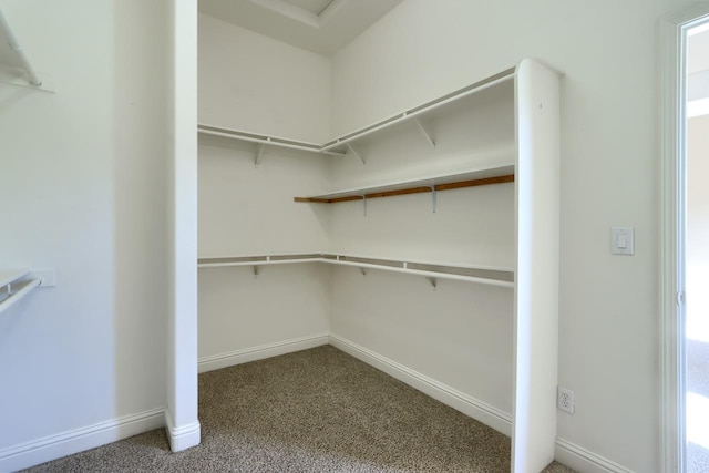 spacious closet with carpet flooring