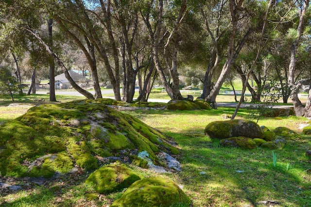 view of property's community featuring a yard