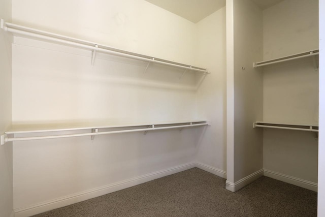 walk in closet featuring carpet flooring