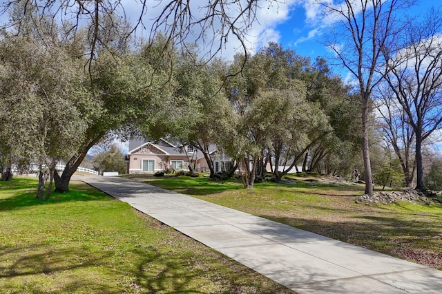 view of home's community with a yard