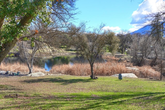 view of yard featuring a water view