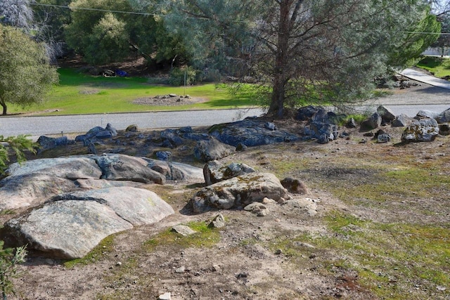 29878 Deer Trail Ln, Coarsegold, CA 93614 - exterior space