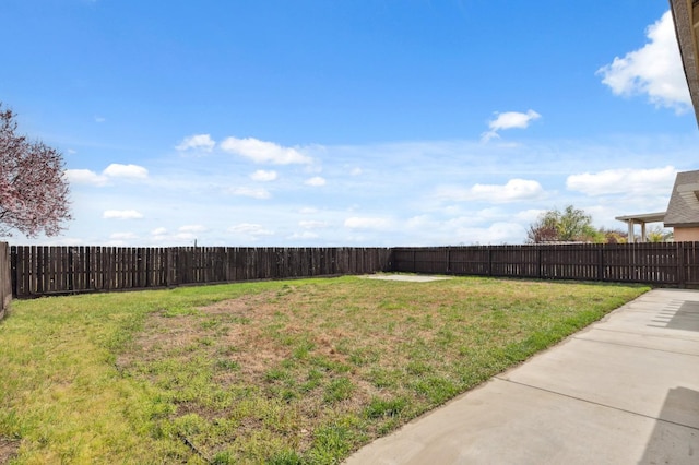 view of yard featuring a fenced backyard