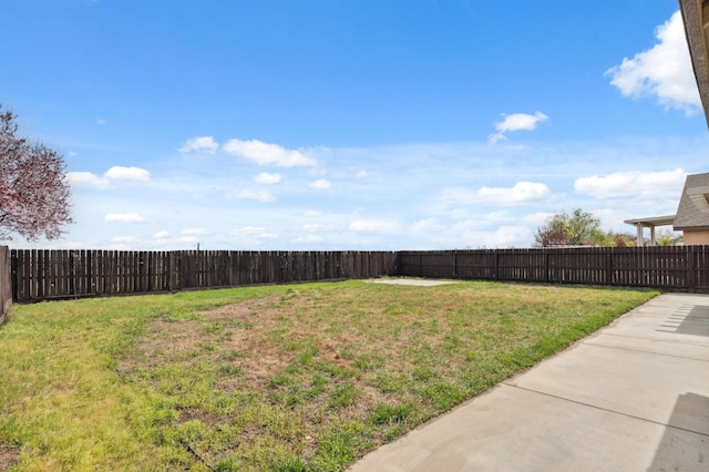 819 Hill Ave, Fowler, CA 93625 - view of yard