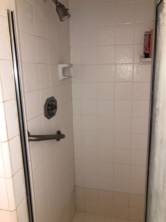 bathroom featuring a shower stall