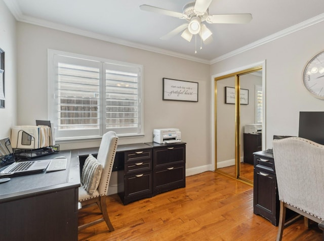 office featuring ornamental molding, baseboards, light wood finished floors, and ceiling fan