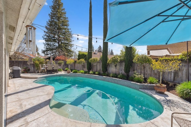 view of pool with outdoor dining space, a patio, a fenced backyard, and a fenced in pool