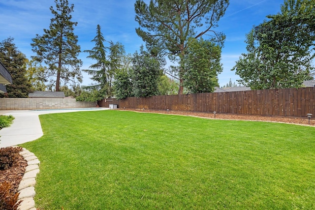 view of yard with a fenced backyard