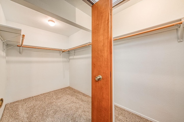 spacious closet with carpet flooring