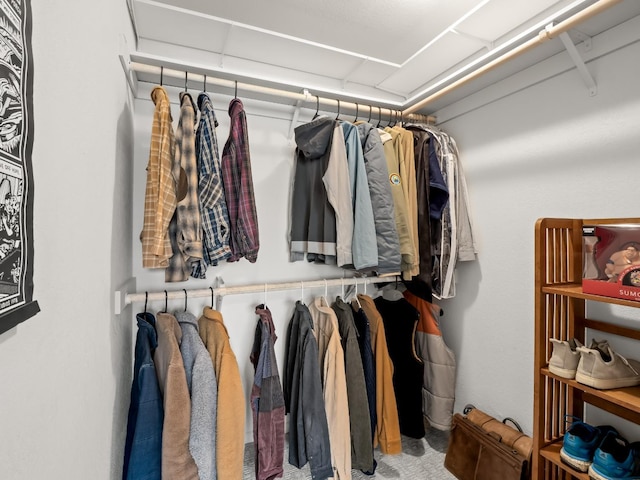 view of spacious closet