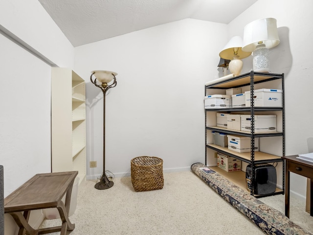 interior space with baseboards and lofted ceiling