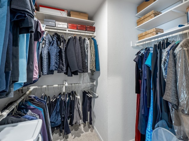 spacious closet featuring carpet flooring