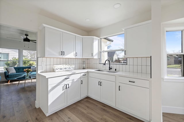 kitchen featuring backsplash, light countertops, a healthy amount of sunlight, and a sink