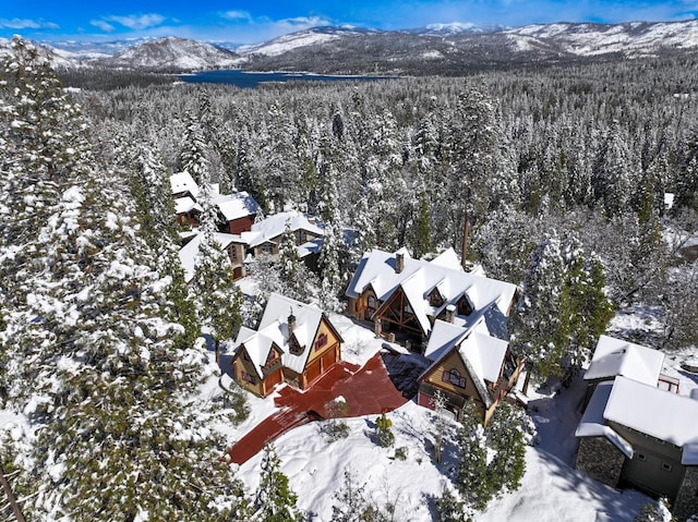 snowy aerial view featuring a mountain view and a view of trees