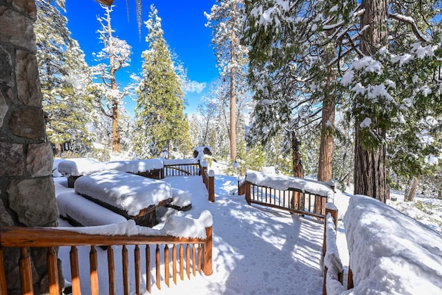 view of yard covered in snow
