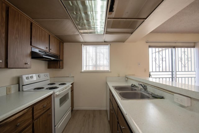 kitchen featuring a sink, light countertops, under cabinet range hood, white electric range, and light wood-type flooring