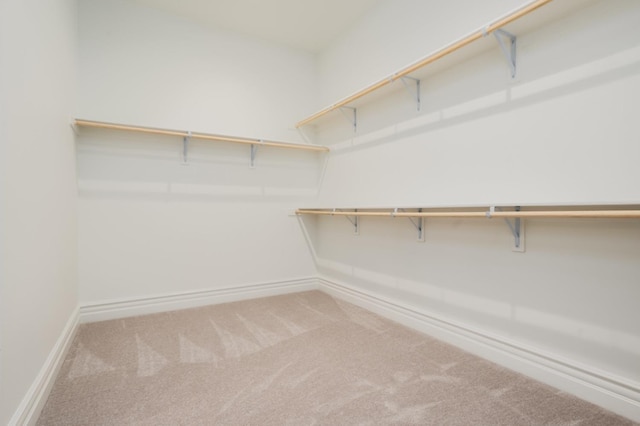 walk in closet featuring carpet