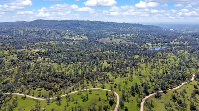 bird's eye view with a view of trees