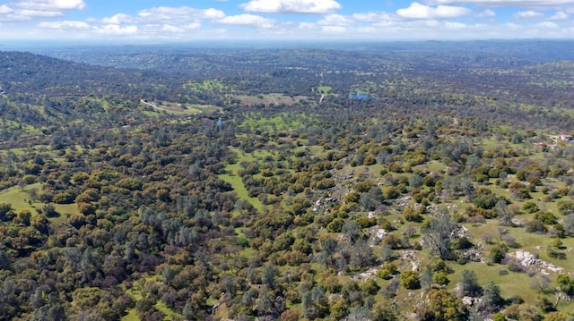 drone / aerial view with a forest view