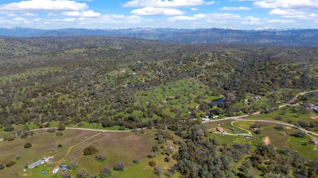 bird's eye view with a mountain view and a forest view