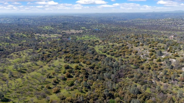 drone / aerial view featuring a view of trees