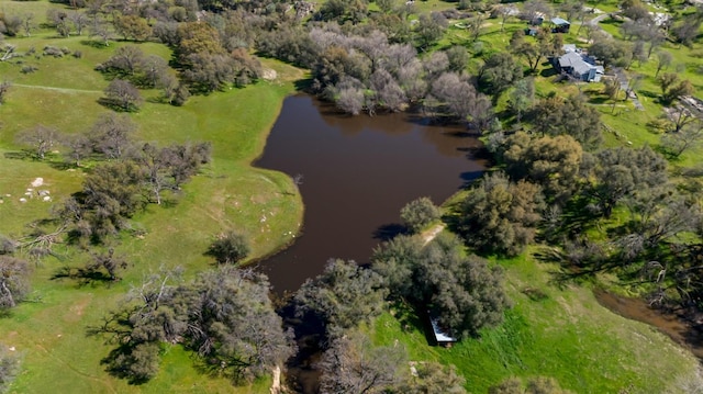 bird's eye view with a forest view and a water view