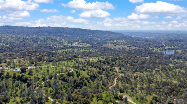 birds eye view of property with a view of trees