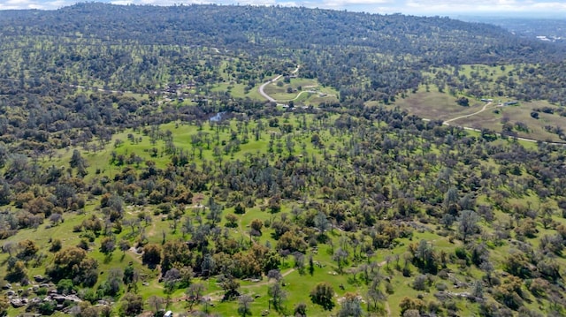 drone / aerial view with a forest view