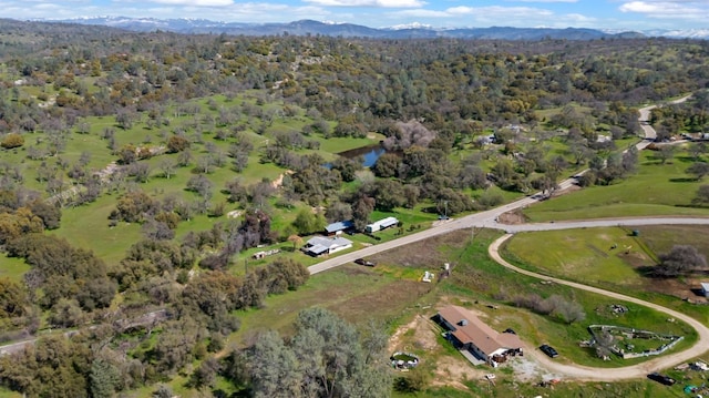 drone / aerial view featuring a mountain view and a view of trees