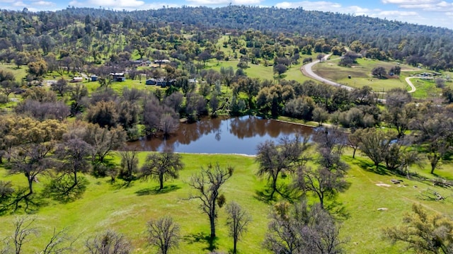 bird's eye view with a view of trees and a water view