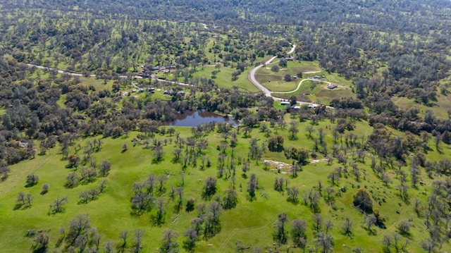 bird's eye view featuring a wooded view and a water view