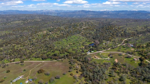 drone / aerial view with a mountain view and a view of trees