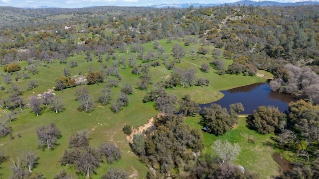 birds eye view of property with a forest view and a water view