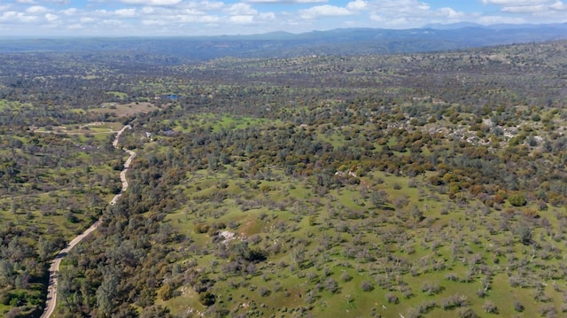 bird's eye view with a mountain view and a forest view