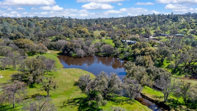 birds eye view of property featuring a water view and a wooded view