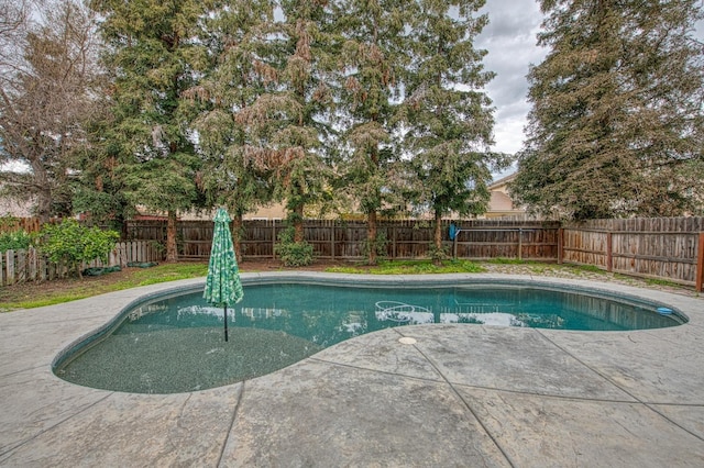 view of swimming pool with a fenced in pool, a fenced backyard, and a patio area