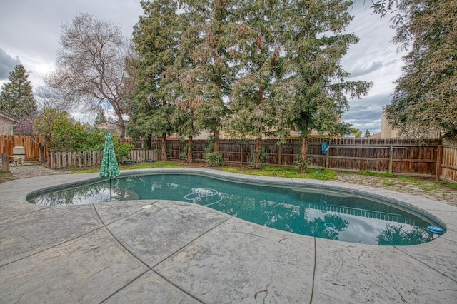 view of swimming pool featuring a patio area, a fenced in pool, and a fenced backyard