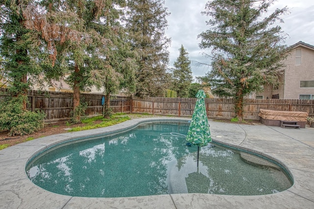 view of pool with a patio area, a fenced backyard, and a fenced in pool