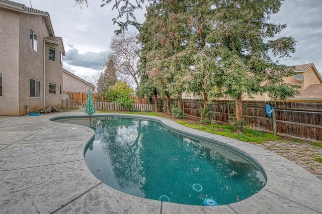 view of swimming pool featuring a patio area, a fenced in pool, and a fenced backyard