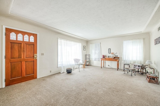 living area featuring carpet flooring and a textured ceiling