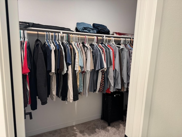 spacious closet featuring carpet flooring