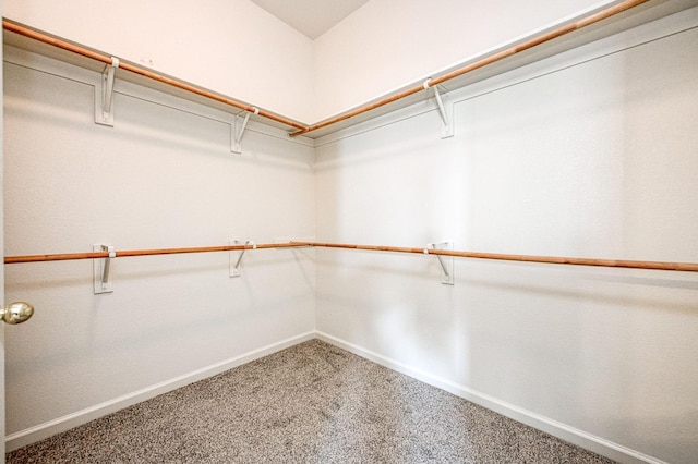 spacious closet featuring carpet