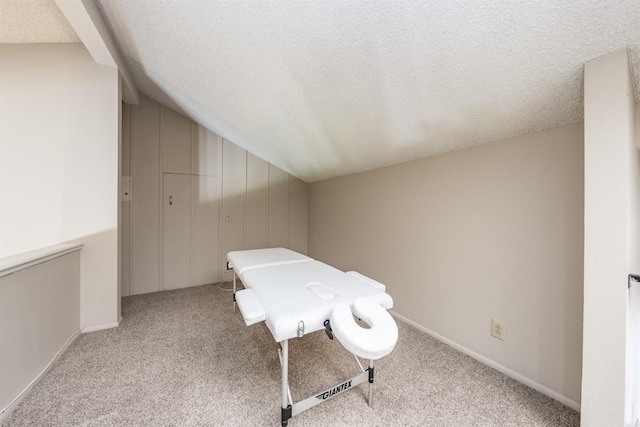 playroom with a textured ceiling, carpet, and lofted ceiling