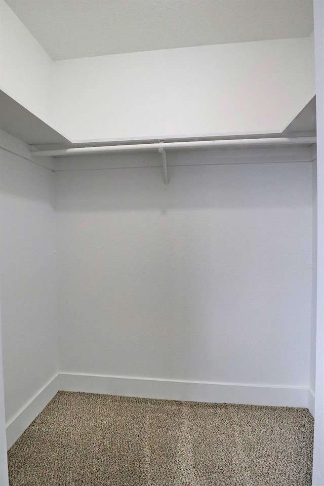 walk in closet with carpet