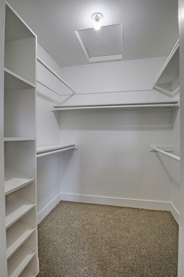 spacious closet featuring attic access and carpet floors