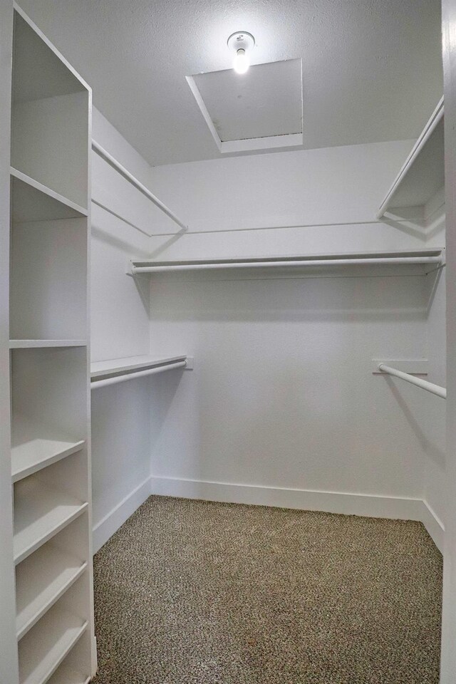 1010 S Clovis Ave Unit 101, Fresno, CA 93727 - walk in closet featuring carpet floors and attic access